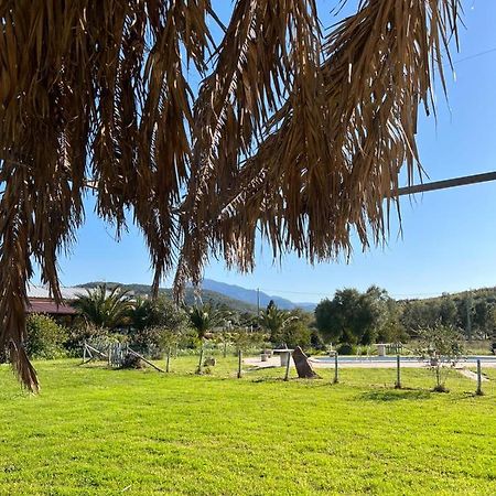 Agriturismo Su Niu Uta Екстериор снимка